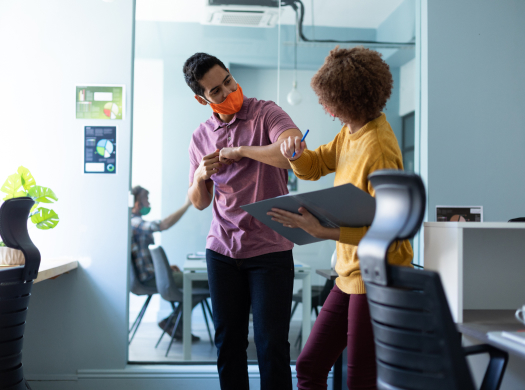 Training & Internship